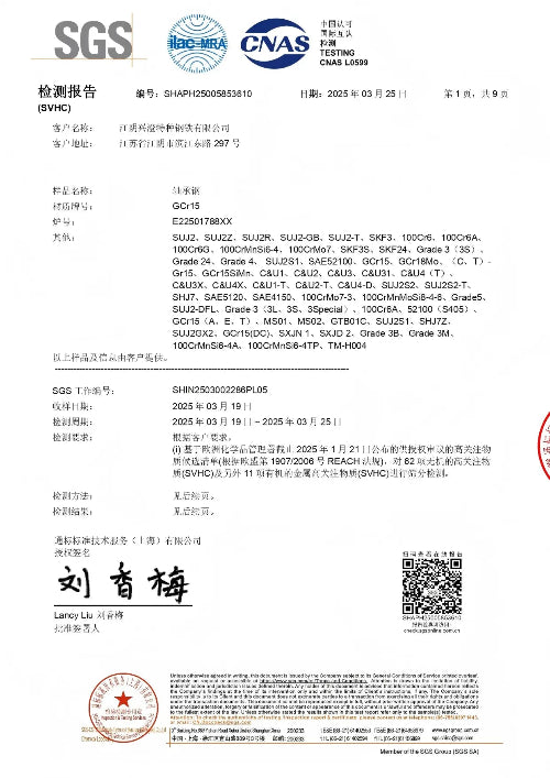 KET Precision Bearings 25.SGS Certificate